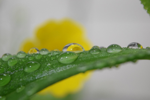 休みの日の雨