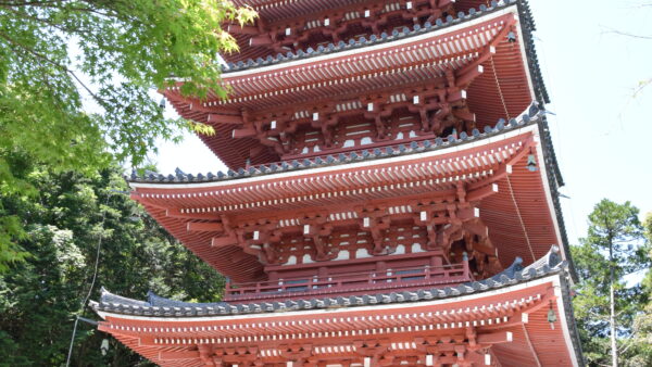 第３回　めげずに辞めるからこそ