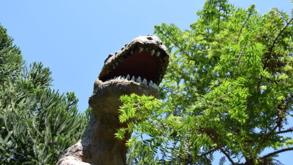 攻撃的な言葉に出会った時