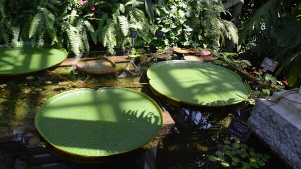 自然と繋がるだけで心が満ちてくる