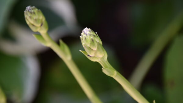 人間関係の断捨離