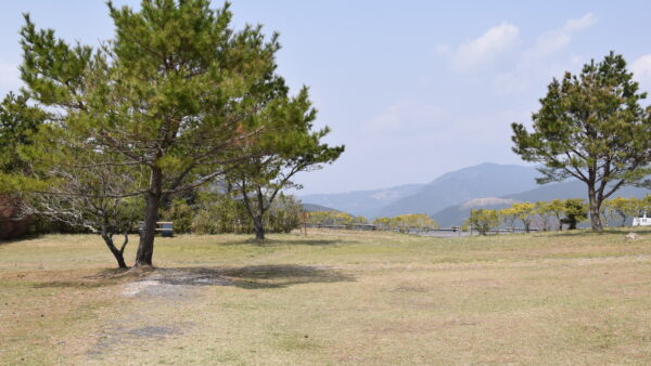 方法にこだわらない事の自由