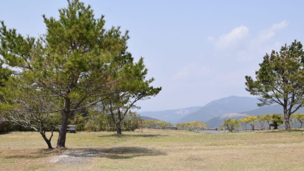 方法にこだわらない事の自由