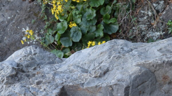 自分の立ち位置は自分で決めている。