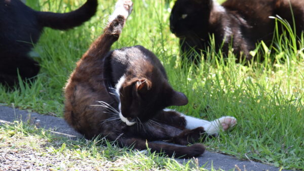 焦りが起こす悪循環