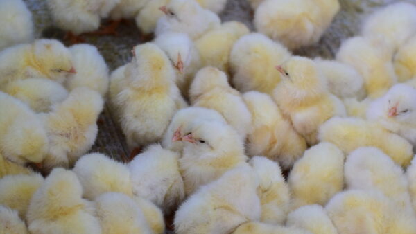 常識や「普通」って誰が決めたのか？