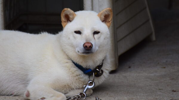 人間関係の断捨離