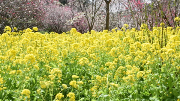 幸せの土台は「健康」にある<br><br>