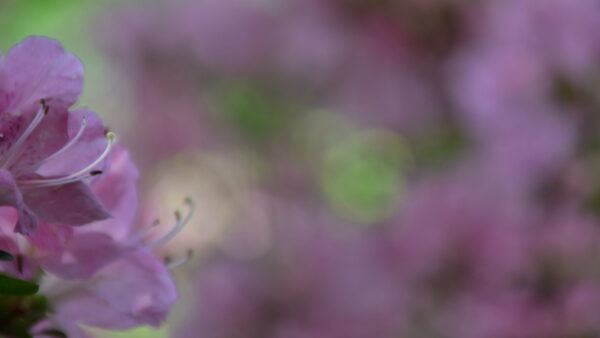 『あの時、こうしていれば・・・』